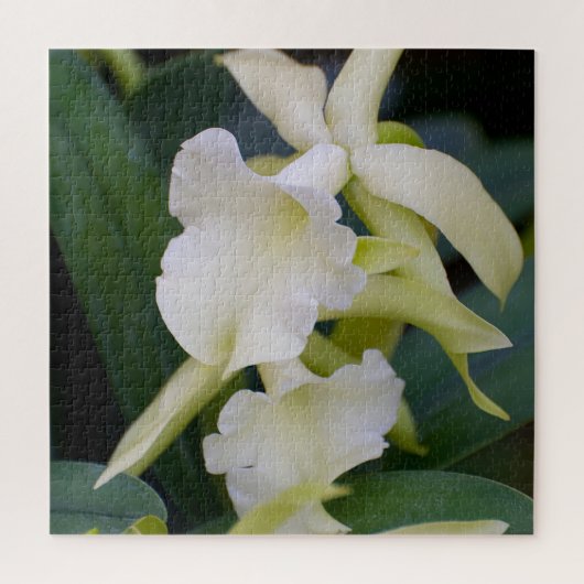 White Orchid Legpuzzel (Verticaal)
