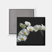 White Orchid Magnet (Voorkant / Achterkant)