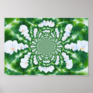 White Orchid Mandala Poster