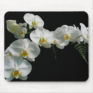 White Orchid Mousepad Muismat