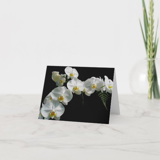 White Orchid Note Kaart (Voorkant)