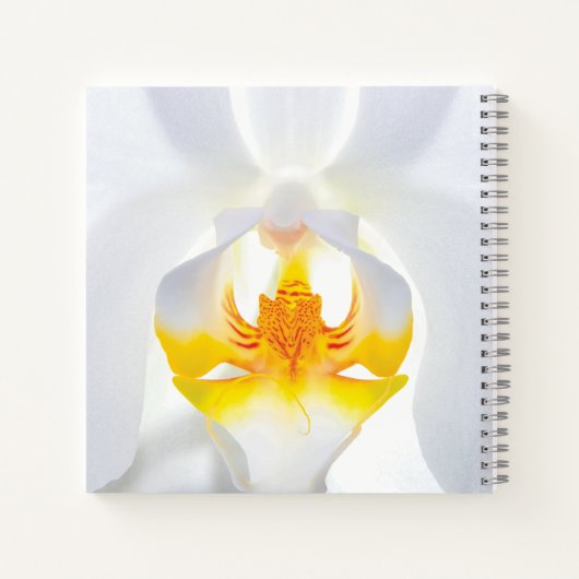 White Orchid Notitieboek (Achterkant)