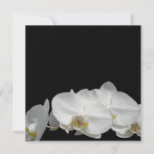 White Orchid on Black Kaart (Achterkant)