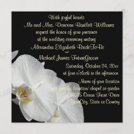 White Orchid on Black Kaart