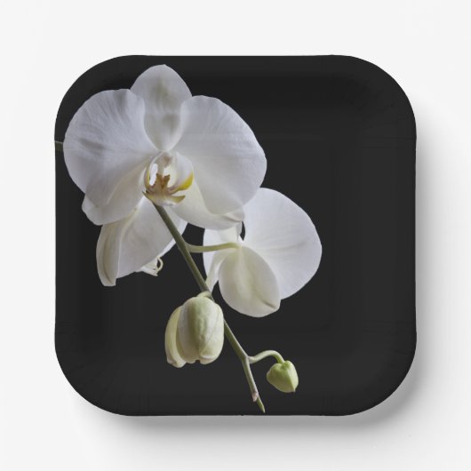 White Orchid on Black Papieren Bordje (Voorkant)