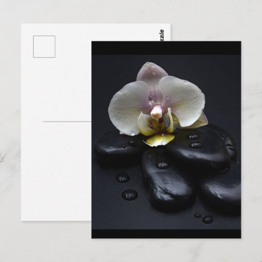 White Orchid on Black Stones Briefkaart (Voorkant / Achterkant)