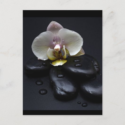 White Orchid on Black Stones Briefkaart (Voorkant)