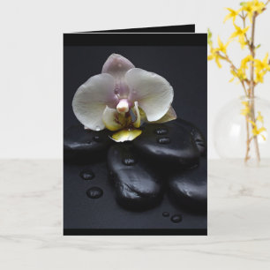 White Orchid on Black Stones Kaart