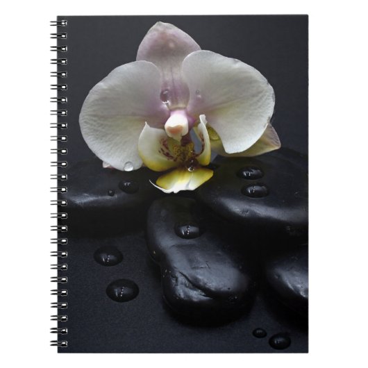 White Orchid on Black Stones Notitieboek (Voorkant)