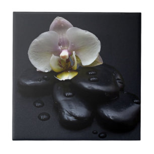 White Orchid on Black Stones Tegeltje