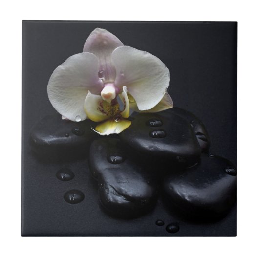 White Orchid on Black Stones Tegeltje (Voorkant)