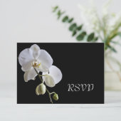 White Orchid on Black Wedding RSVP Response Kaart (Staand voorkant)