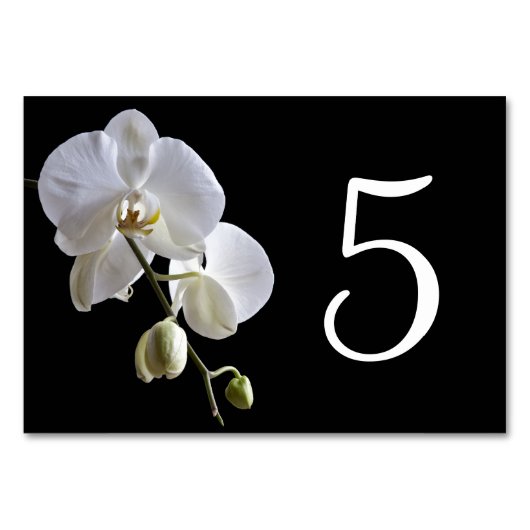 White Orchid op Black Table Numbers Kaart (Achterkant)