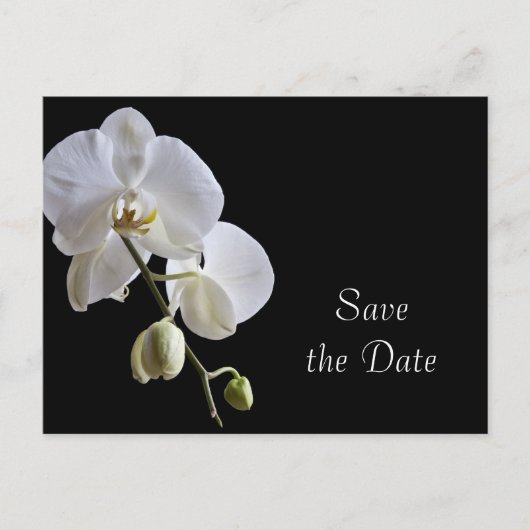 White Orchid op Black Wedding Save the Date Aankondigingskaart (Voorkant)