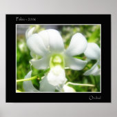 White Orchid Poster (Voorkant)