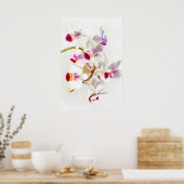 White Orchid Poster (Keuken)