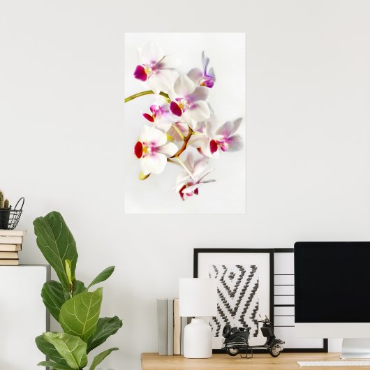 White Orchid Poster (Thuiskantoor)