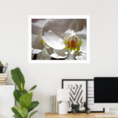 White Orchid Poster (Thuiskantoor)
