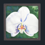 White Orchid Premium Decoratie Doosje<br><div class="desc">origineel romantisch schilderij van witte orchidee waterverf door H Cooper</div>