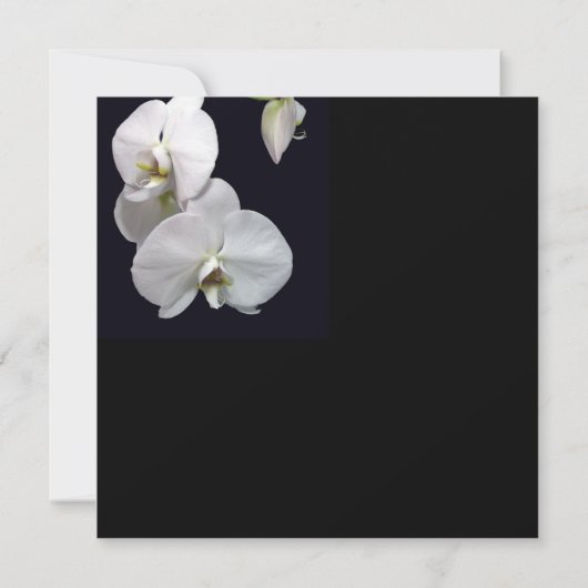 White Orchid Save the Date (Achterkant)