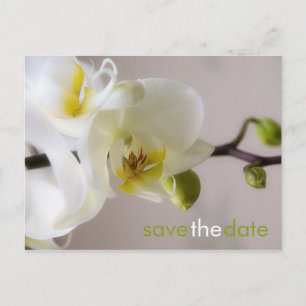 White Orchid · Save the Date Briefkaart