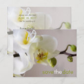 White Orchid · Save the Date Briefkaart (Voorkant / Achterkant)