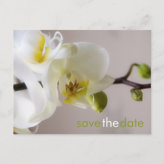 White Orchid · Save the Date Briefkaart (Voorkant)