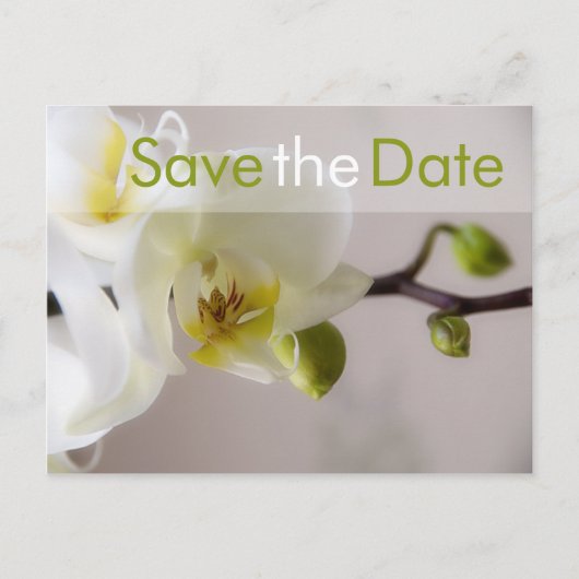 White Orchid · Save the Date Briefkaart (Voorkant)