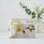 White Orchid · Save the Date Briefkaart (Staand voorkant)