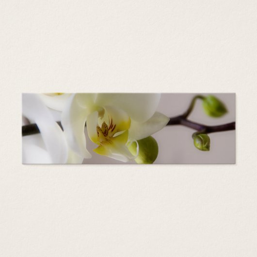 White Orchid · Save the Date Mini Kaart (Voorkant)