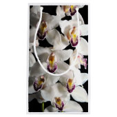White Orchid Spray Klein Cadeauzakje (Voorkant)