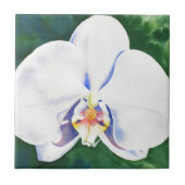 White Orchid Tegeltje (Voorkant)