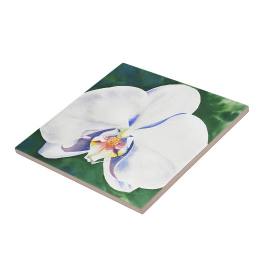 White Orchid Tegeltje (Zijkant)