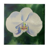 White Orchid Tegeltje (Voorkant)