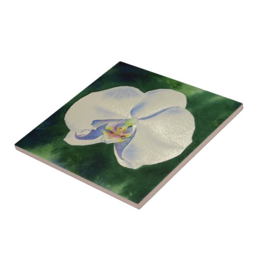 White Orchid Tegeltje (Zijkant)