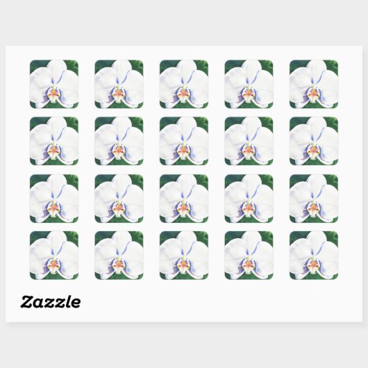 White Orchid Vierkante Sticker (Vel)