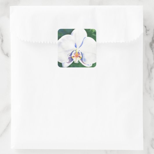 White Orchid Vierkante Sticker (Tas)