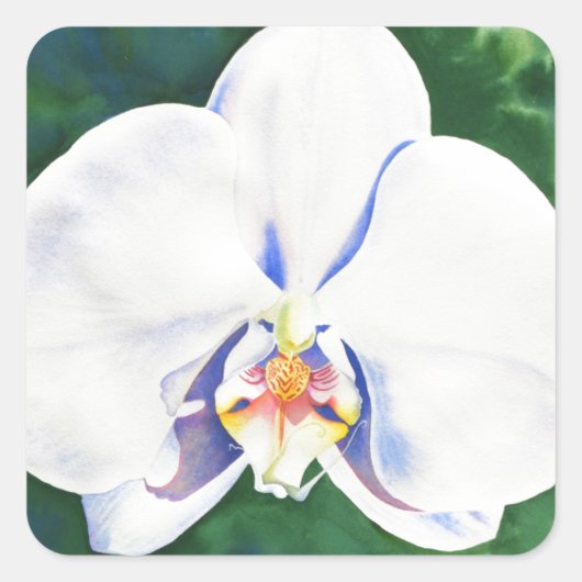 White Orchid Vierkante Sticker (Voorkant)