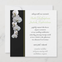 White Orchid Wedding Invitation 5.25x5.25