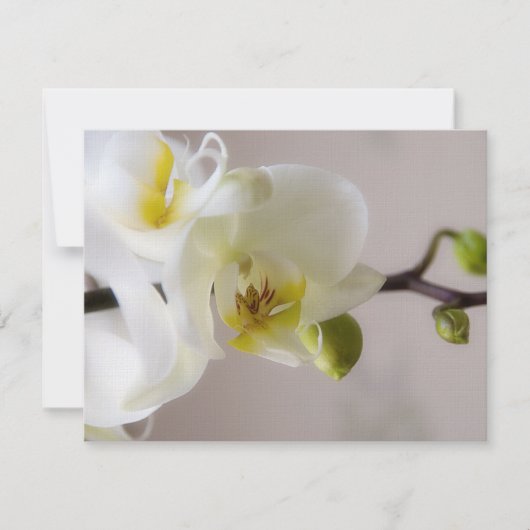 White Orchid ・ Wedding Invitation RSVP Kaartje (Voorkant)