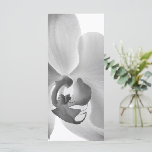 White Orchid Wedding Programme Programmakaart (Staand voorkant)