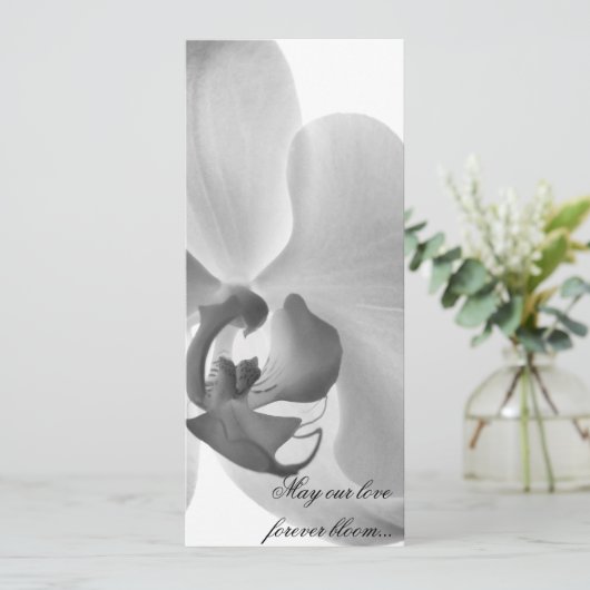 White Orchid Wedding Programme Programmakaart (Staand voorkant)