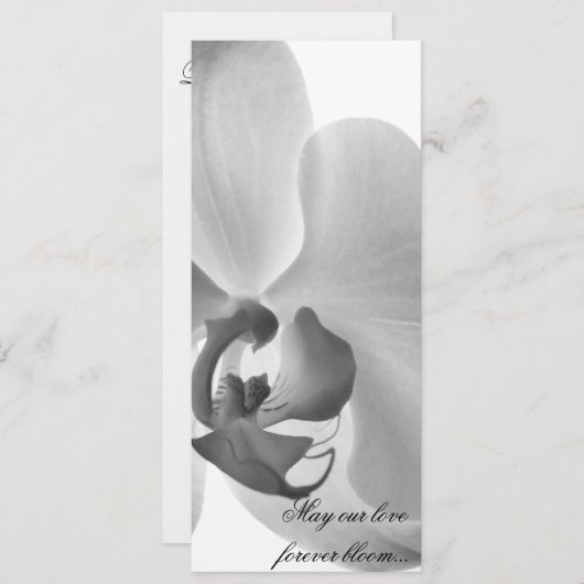 White Orchid Wedding Programme Programmakaart (Voorkant / Achterkant)