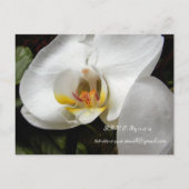 White Orchid Wedding Uitnodigingen en gunsten (Achterkant)