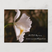 White Orchid Wedding Uitnodigingen en gunsten (Achterkant)