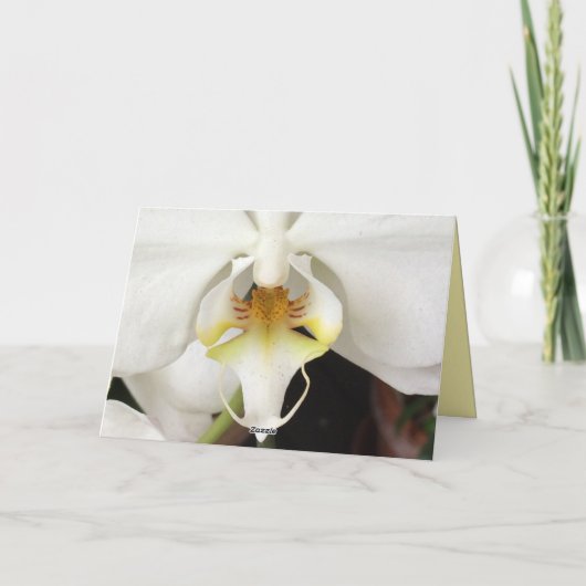 White Orchid Wenskaart Bedankkaart (Achterkant)