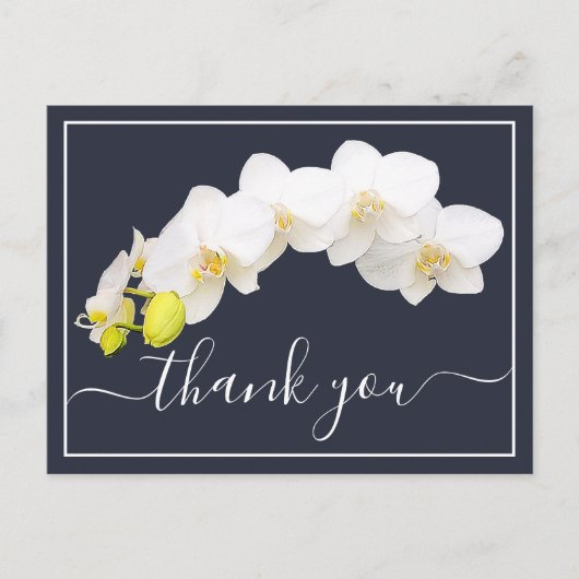 White Orchids against Navy Background Dank je Briefkaart (Voorkant)