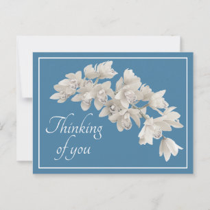 White Orchids Blue Background Denking of You Briefkaart