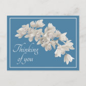 White Orchids Blue Background Denking of You Briefkaart (Voorkant)
