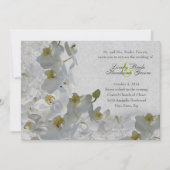 White Orchids  Damask Wedding Invitation Kaart (Voorkant)